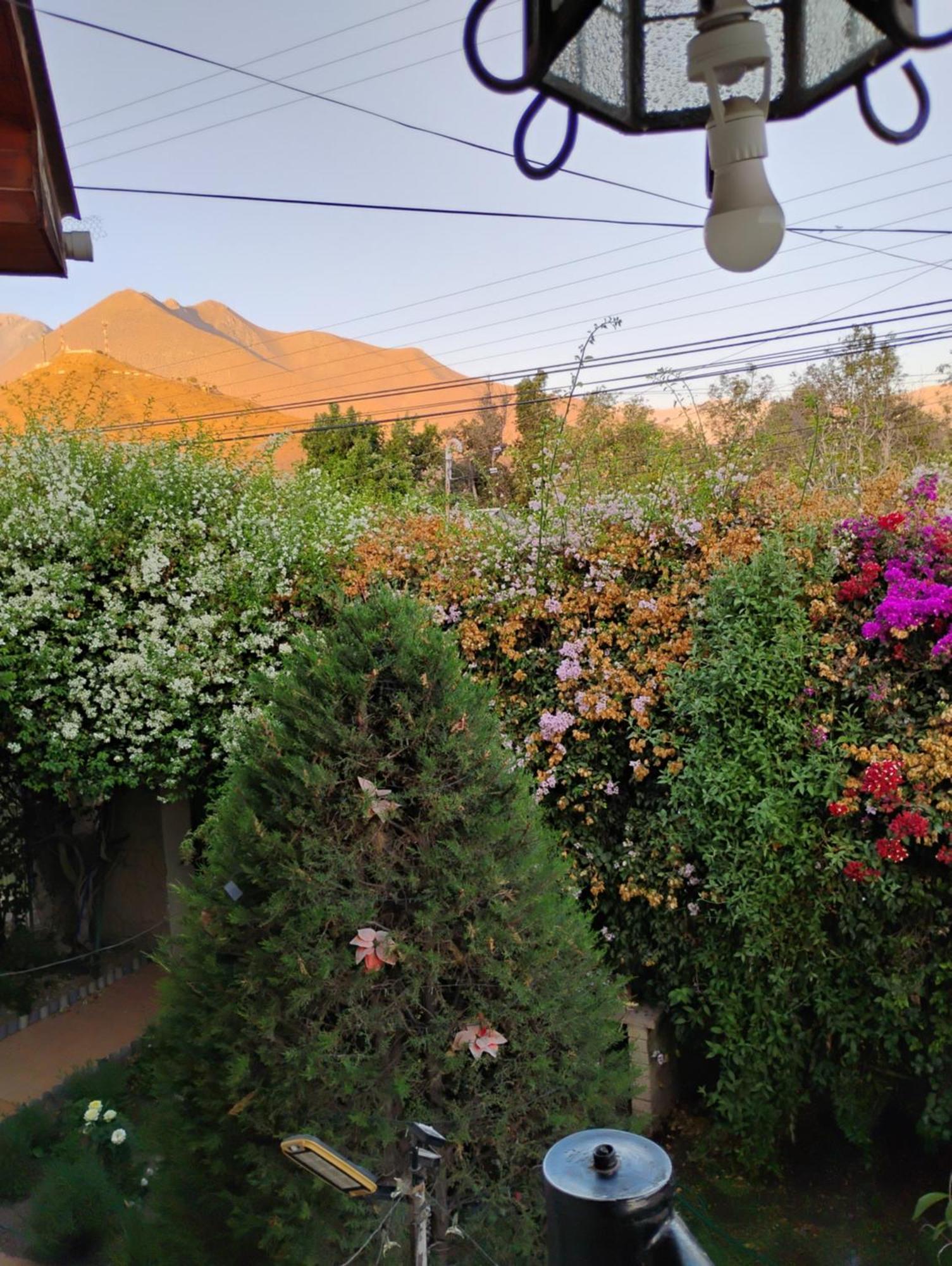 Hostal Donde Rita Vicuña Exterior foto